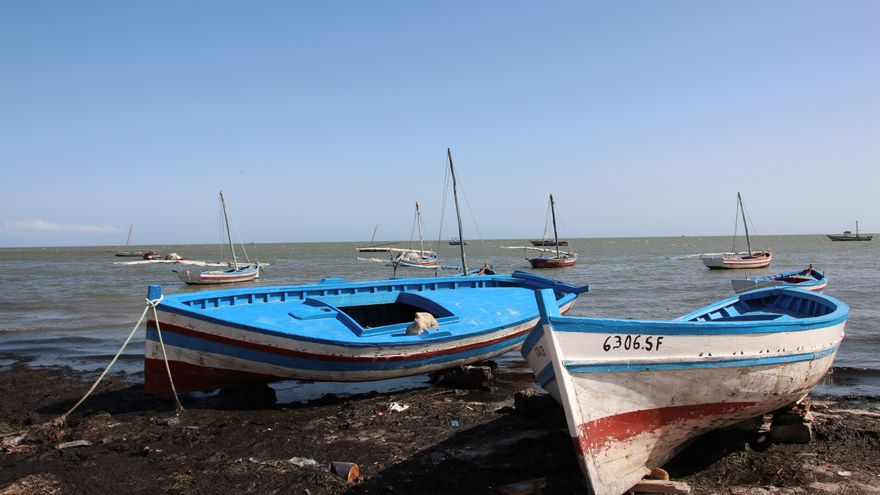 170 menores llegaron la semana pasada de forma irregular a Italia desde Túnez