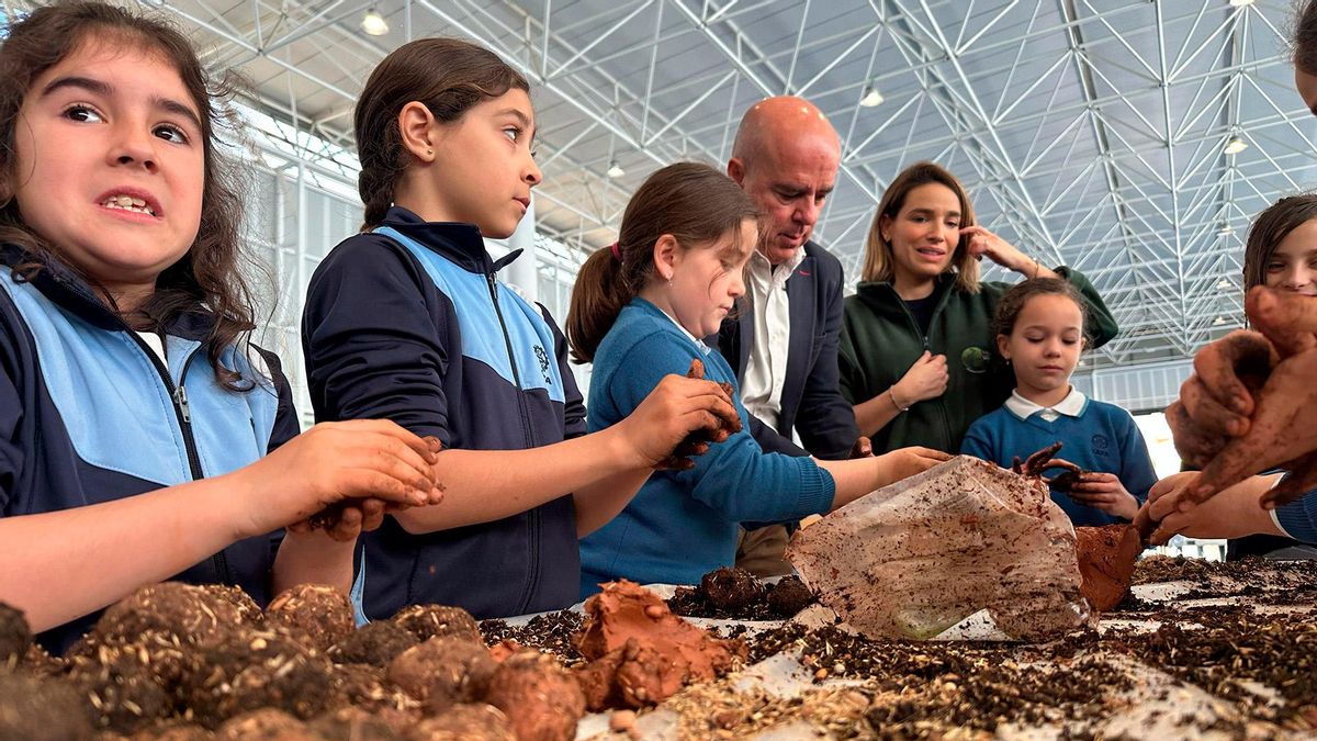 'Smart Green Trees', una iniciativa de LG Electronics que impulsa la reforestación masiva y la recuperación de la resiliencia de nuestros bosques