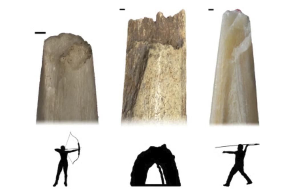 La caza prehistórica se entiende ahora como un sistema variado