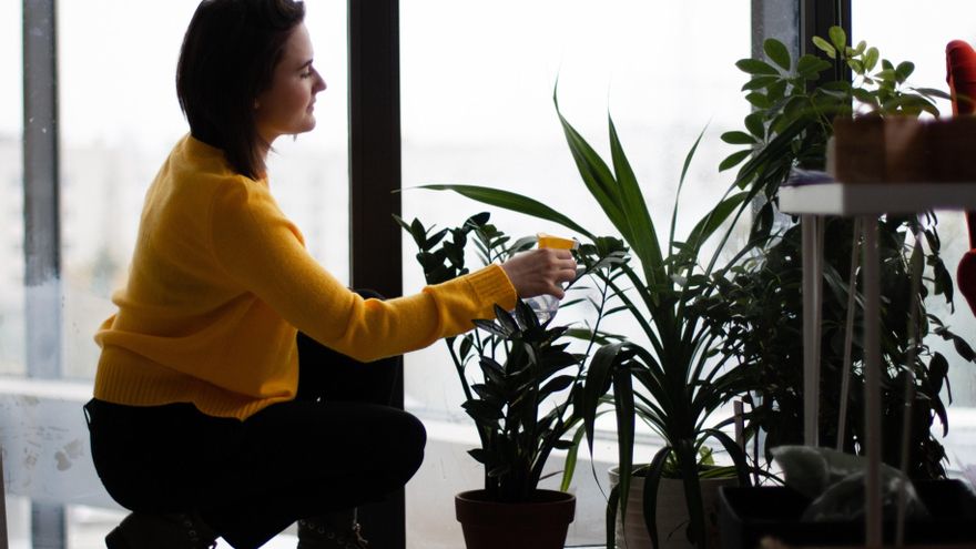 Estos son los principales beneficios de tener y cuidar plantas de interior