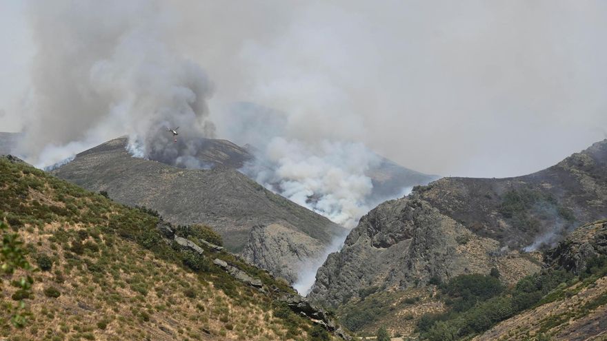 Los incendios mantienen en jaque a Castilla y León este lunes: nueve fuegos de nivel 2 en León y Zamora