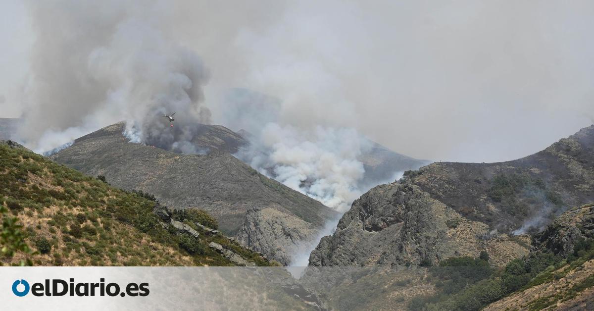 Los incendios mantienen en jaque a Castilla y León este lunes: nueve fuegos de nivel 2 en León y Zamora