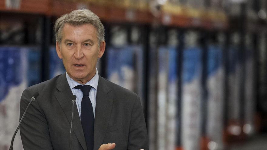 El presidente del Partido Popular, Alberto Núñez Feijóo.