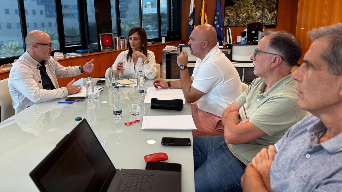 Reunión de la consejera de Presidencia del Gobierno de Canarias, Nieves Lady Barreto,  este miércoles, con técnicos de la empresa pública Gestur.