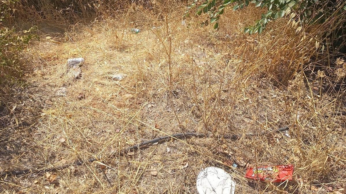 CCOO denuncia riesgo de incendio en solares y plagas de ratas y cucarachas en Las Quemadas