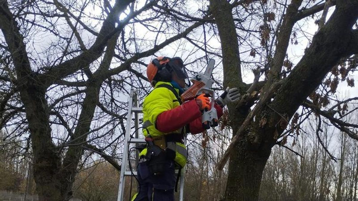 Carrizo de la Ribera acoge un curso gratuito de poda, desbroce y cuidado de frutales para prevenir incendios