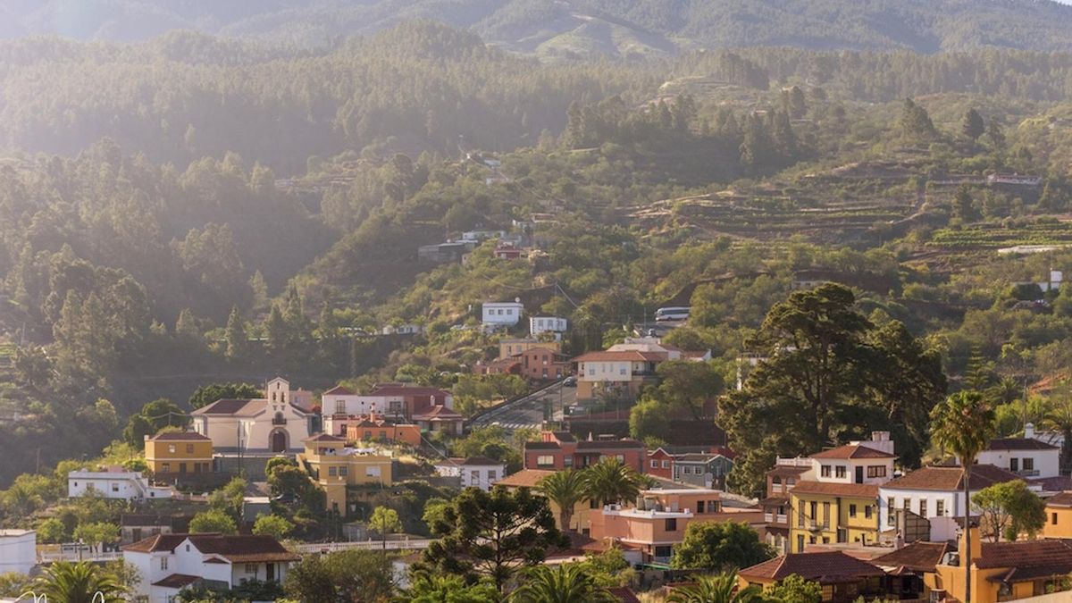 Puntagorda obtiene dos Programas de Formación en Alternancia con el Empleo, uno forestal y otro sociosanitario