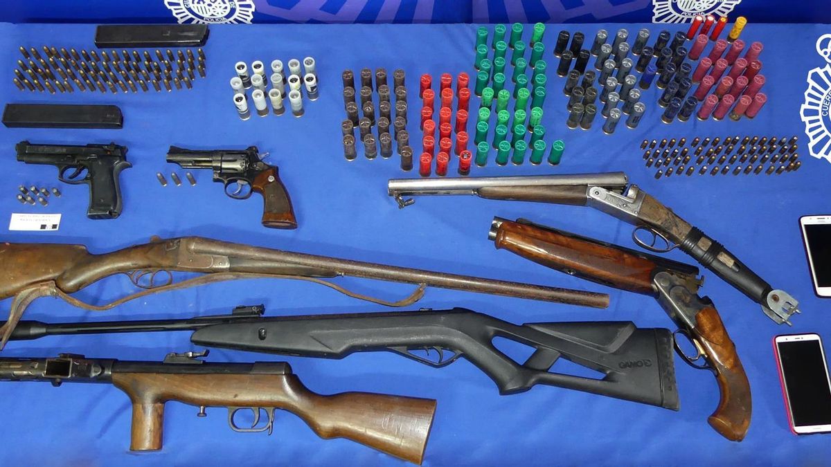 Armas intervenidas en la operación.