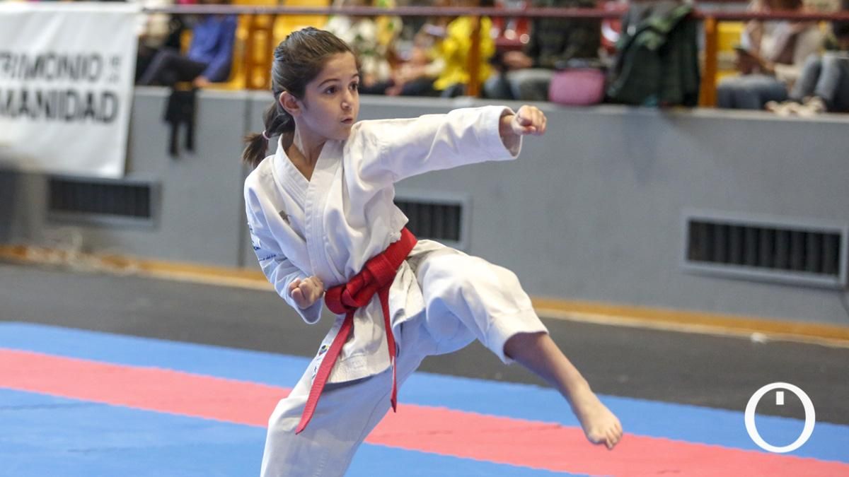 Campeonato de Andalucía Infantil y Juvenil de kárate