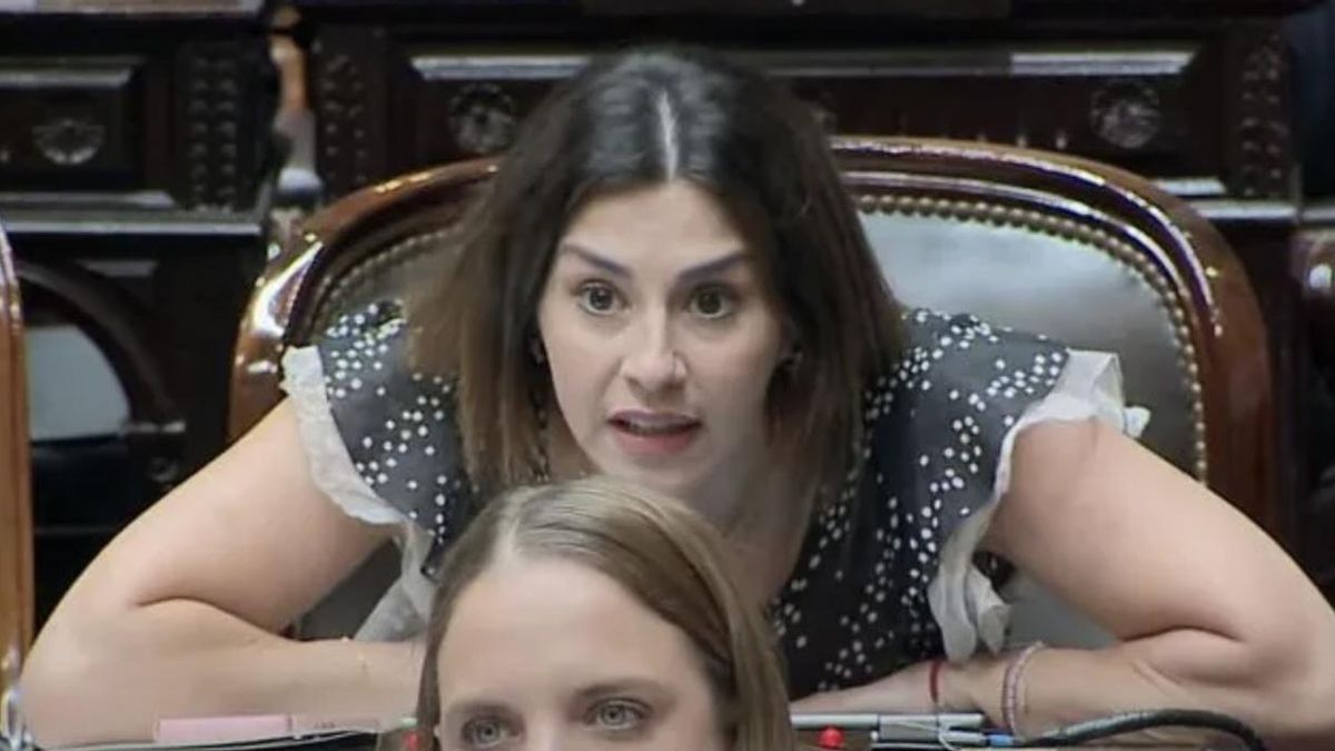 La legisladora presentó una escrito solicitando la detención del Jefe de Gabinete.