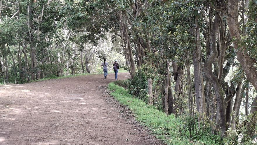 Arrieros somos y en los caminos guanches nos encontraremos