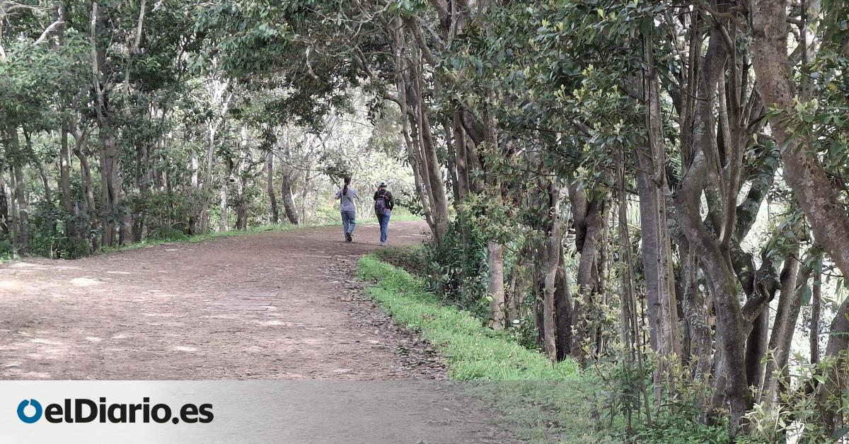 Arrieros somos y en los caminos guanches nos encontraremos