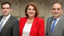 Juan José Liarte, María Isabel Campuzano y Francisco Carreras, diputados de Vox suspendidos de afiliación