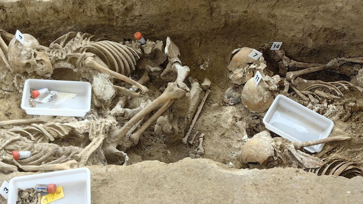 Los trabajos en la fosa de Ejea