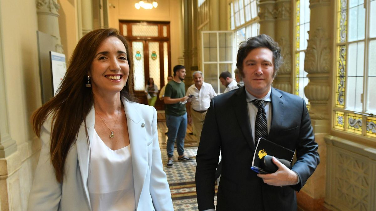 Victoria Villarruel y Javier Milei, cuando eran compañeros de bancada en la Cámara de Diputados.