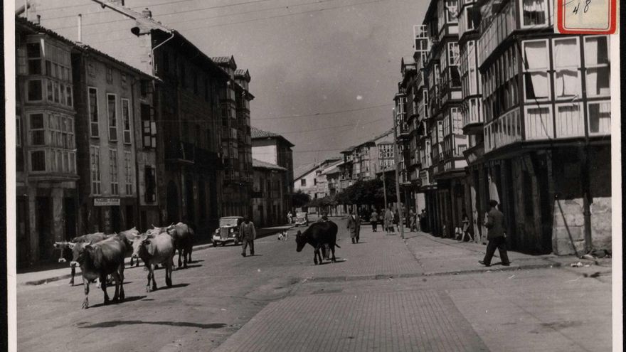 "Calle de Canalejas con ganado que regresa a sus establos".