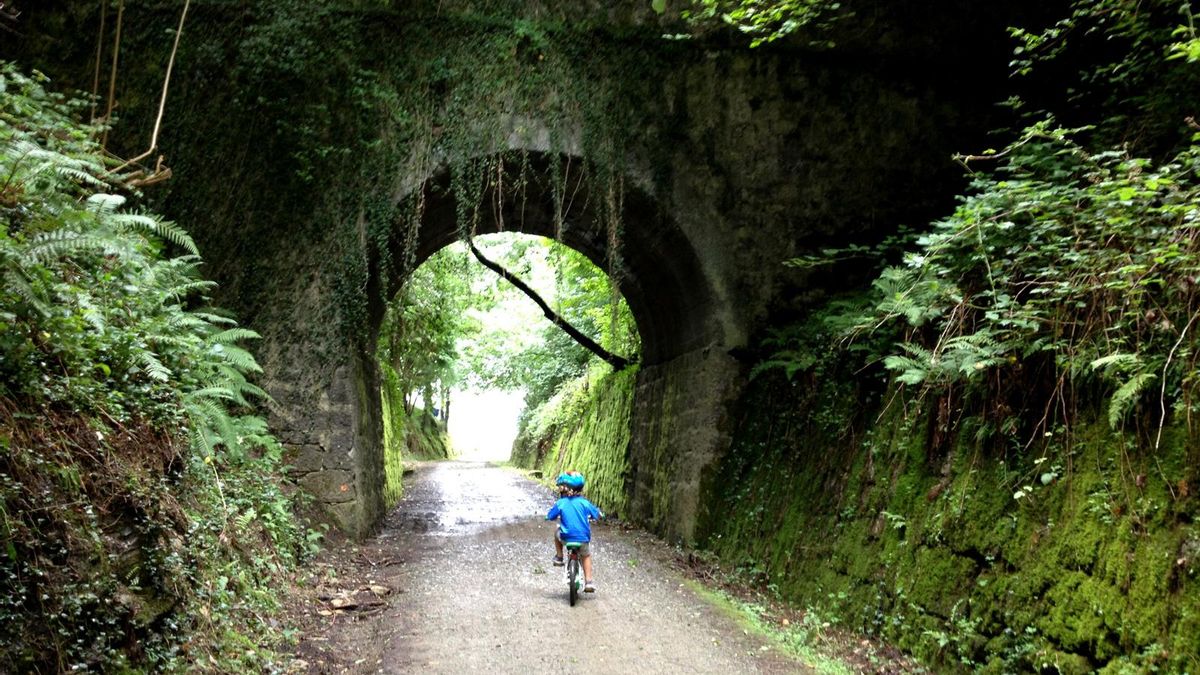 Camino Natural Vía Verde del Plazaola.