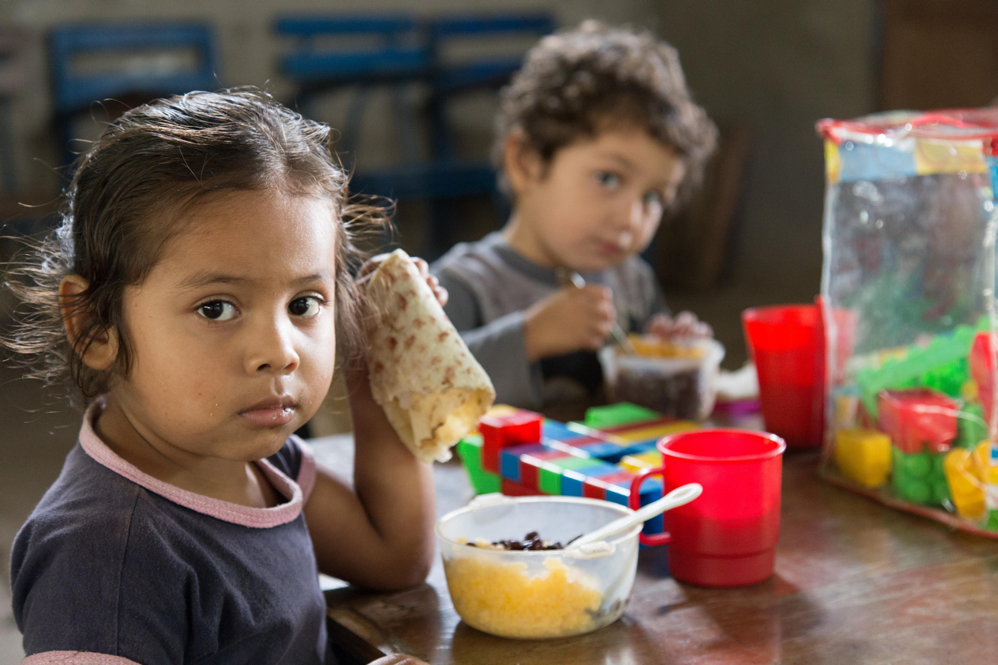 Derecho a una alimentación adecuada