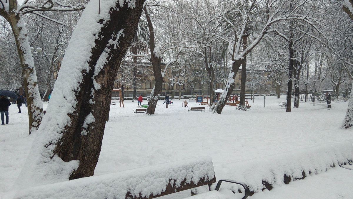 Nieve