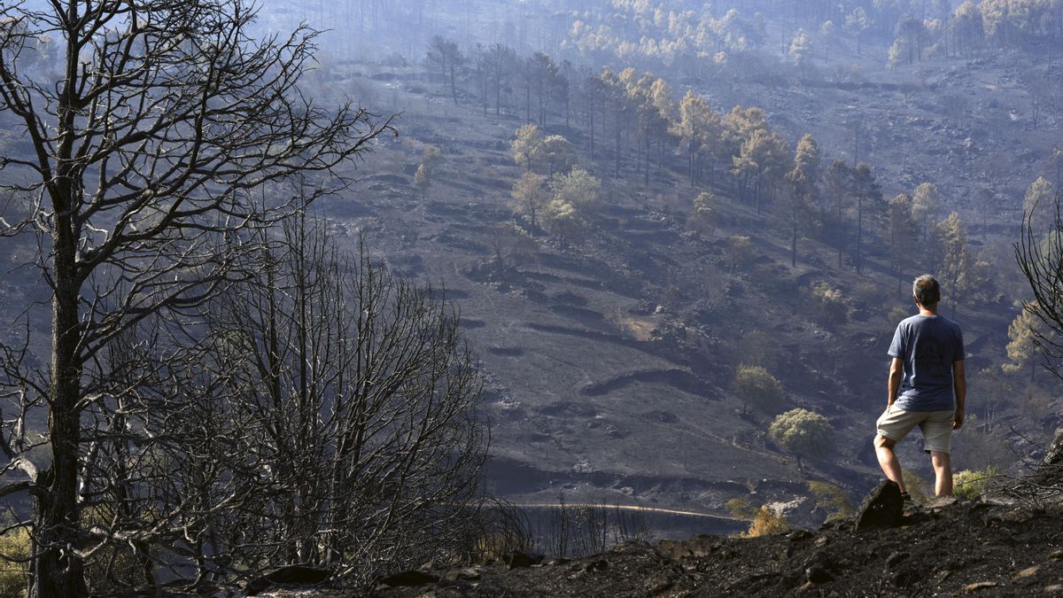 El incendio de Ávila presenta una situación "favorable" aunque preocupan nuevas reactivaciones