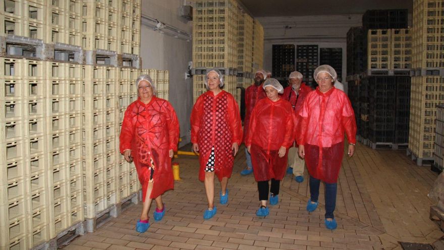 Visita a la quesería