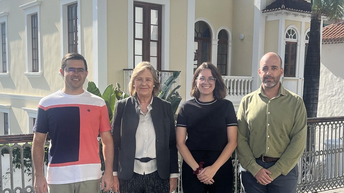 Junta de Gobierno del Colegio de Arquitectos de La Palma.