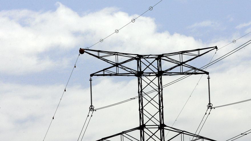 Plataforma SOS Tendidos Eléctricos pide mejoras para reducir la muerte de la avifauna