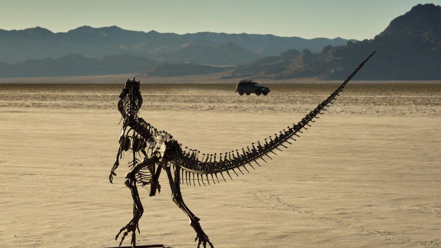 Sotheby's subastará un Ceratosaurus, único ejemplar juvenil conocido de esta especie