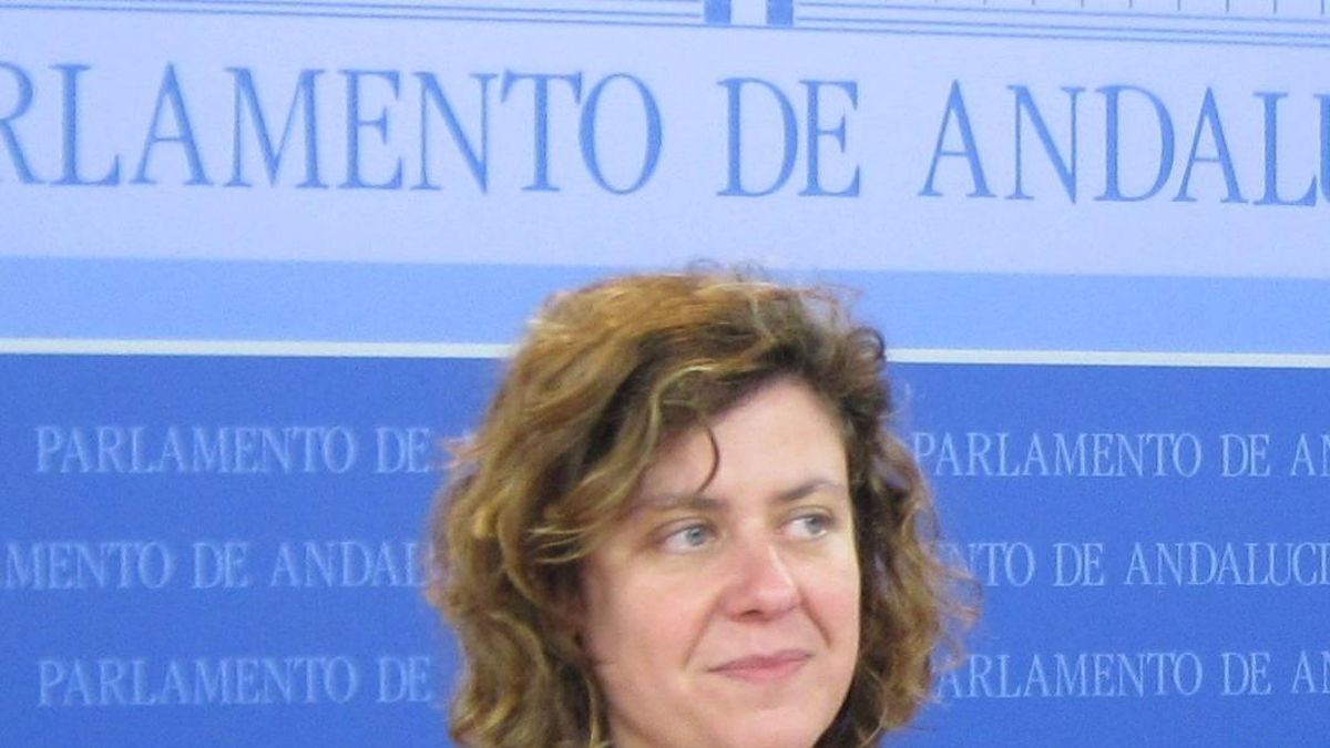 Doblas: IULV-CA "no participó" del acuerdo PP-PSOE para el relevo de Chamizo pero apoya a Maeztu como Defensor
