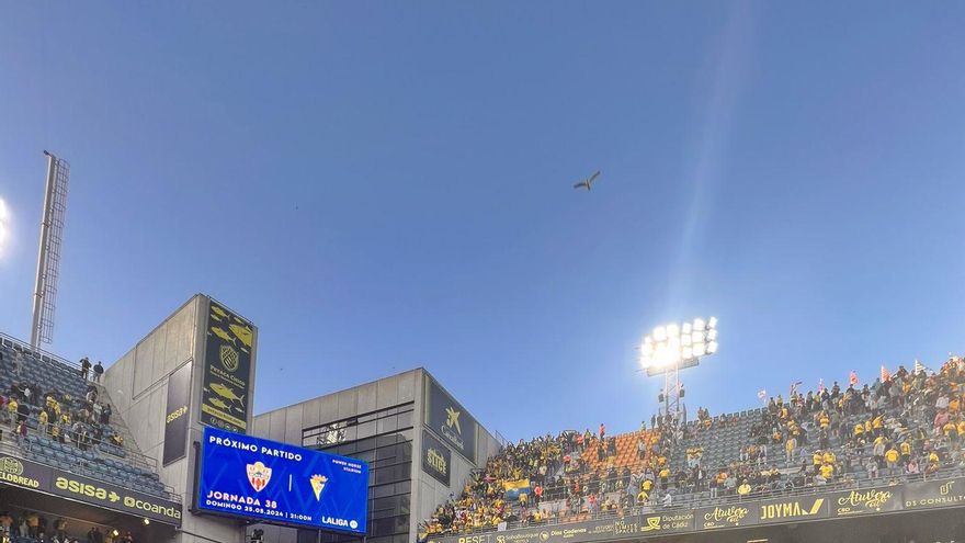 La UD Las Palmas cumple con los deberes frente al Cádiz para certificar su continuidad en la élite