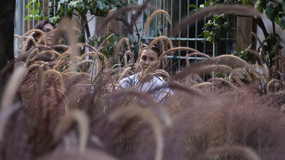 FLORA 2025 - Jardín sin tiempo' (Patio del Reloj de la Diputación)