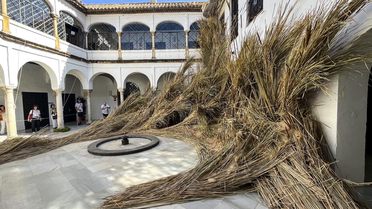 FLORA 2026 - Mas Rasa (Palacio de Orive)