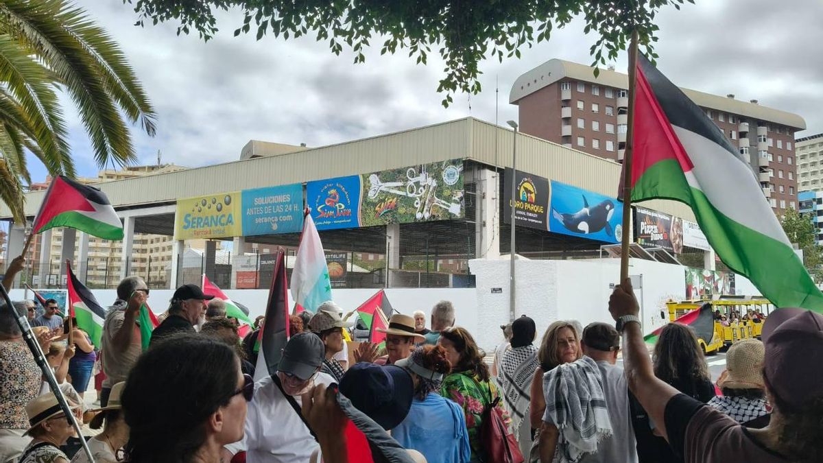 Protesta por la participación de Israel en el mundial júnior de waterpolo femenino en Tenerife. FOTO: Álvaro Morales