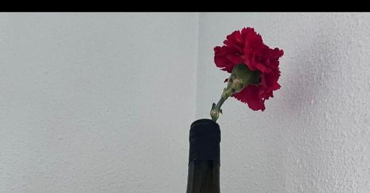Instrucciones para regar un clavel