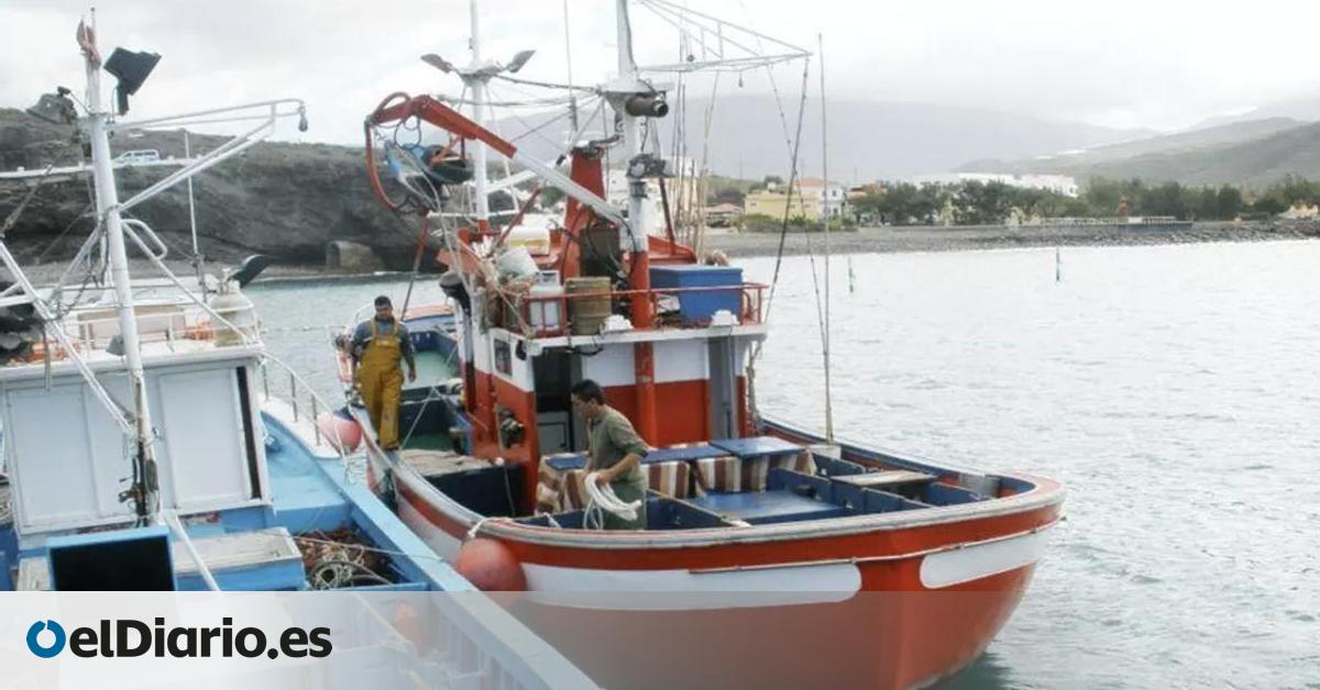 Los artesanales canarios, otra campaña más con capturas desastrosas de atún rojo: solo pescan el 20% de 568 toneladas