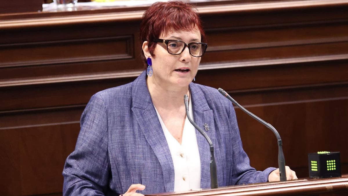 El Gobierno canario defiende que activó los protocolos en el caso de las menores tuteladas desaparecidas en el Carnaval de Tenerife