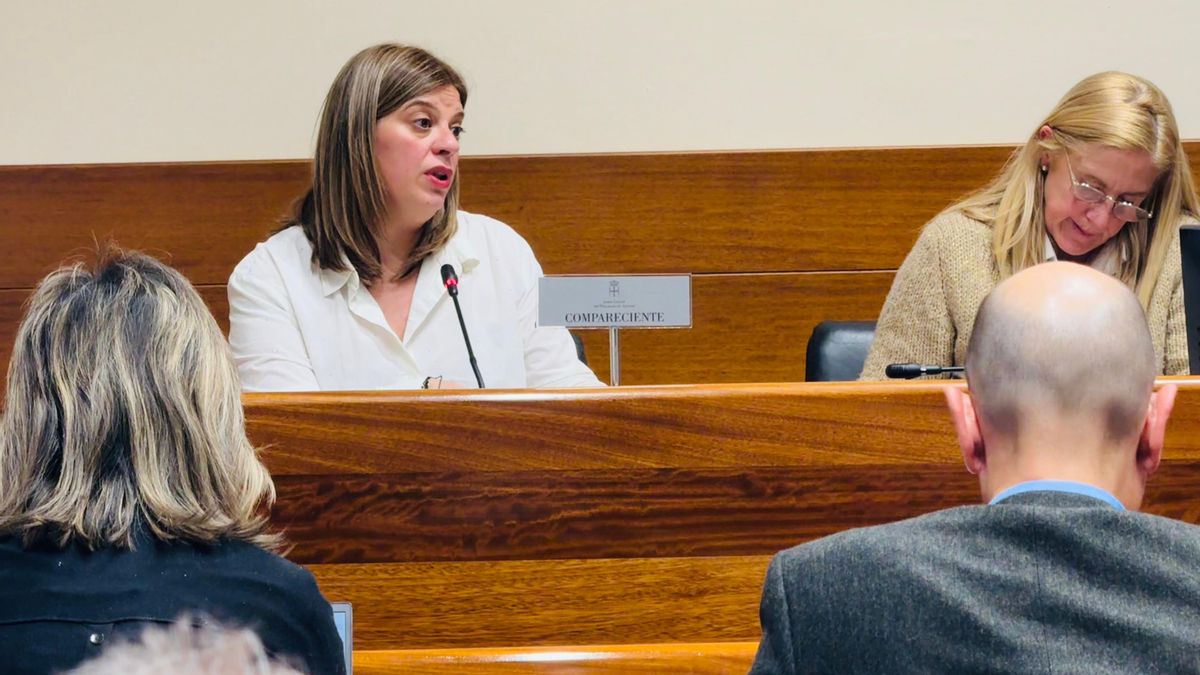 La vicepresidenta, Gimena Llamedo, durante su comparecencia en la Junta General