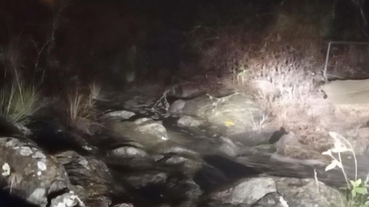 Octubre se estrena en La Palma con copiosas lluvias: 86 litros en El Mulato