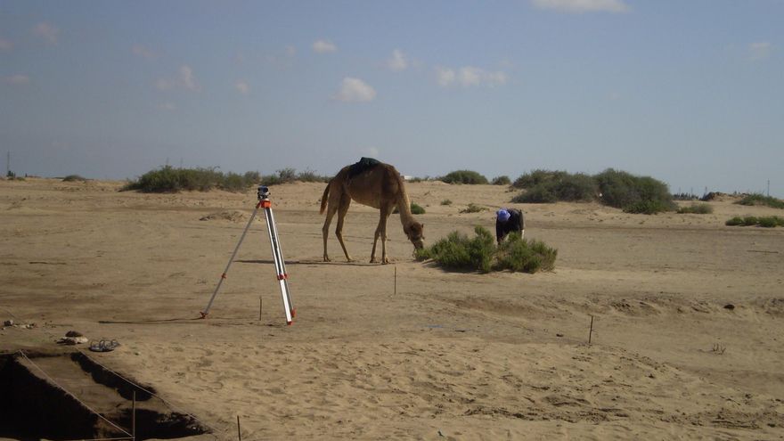 Misión arqueológica española vuelve a norte de Sinaí, la primera internacional en 15 años