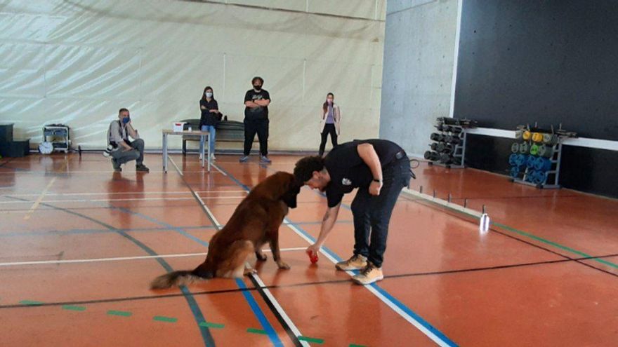 Iosu Méndez, instructor canino, con uno de los perros que participan en el proyecto