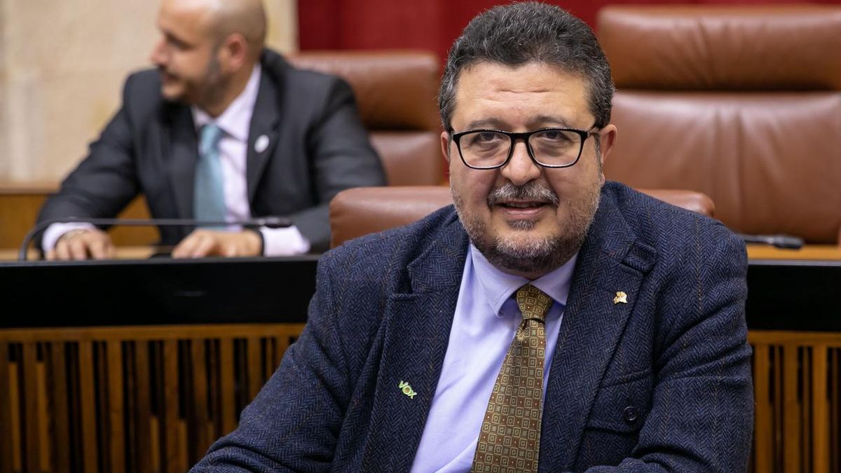 Parlamento andaluz no ve incompatibilidad para que los 17 diputados que lo han pedido mantengan sus actividades privadas