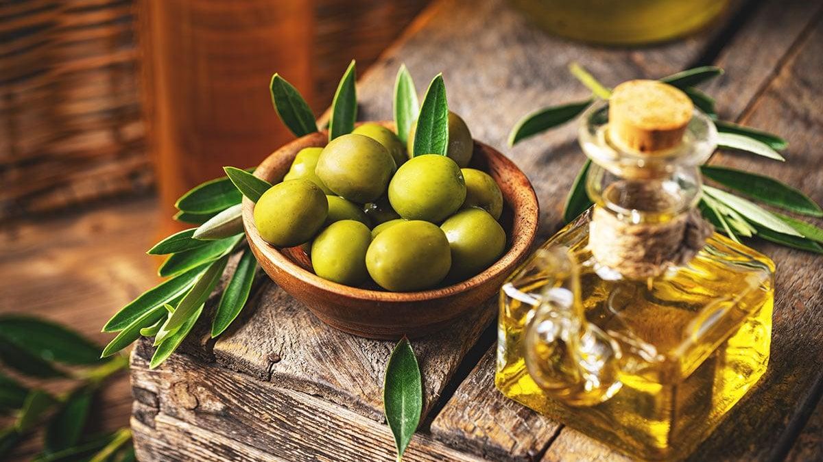 Día mundial del olivo