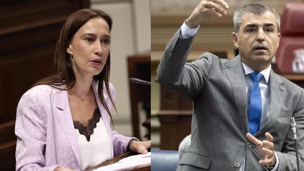 Nira Fierro (PSOE) y Manuel Domínguez (PP), en sendas imágenes captadas en el Parlamento de Canarias.