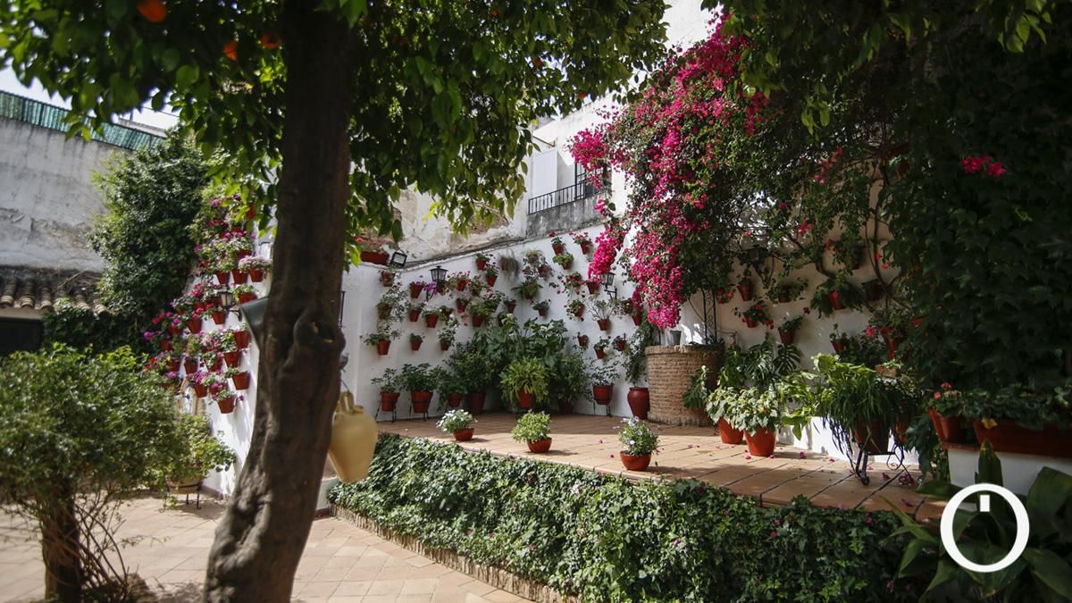 PATIOS 2023 Ruta 1 - Escañuela, 3