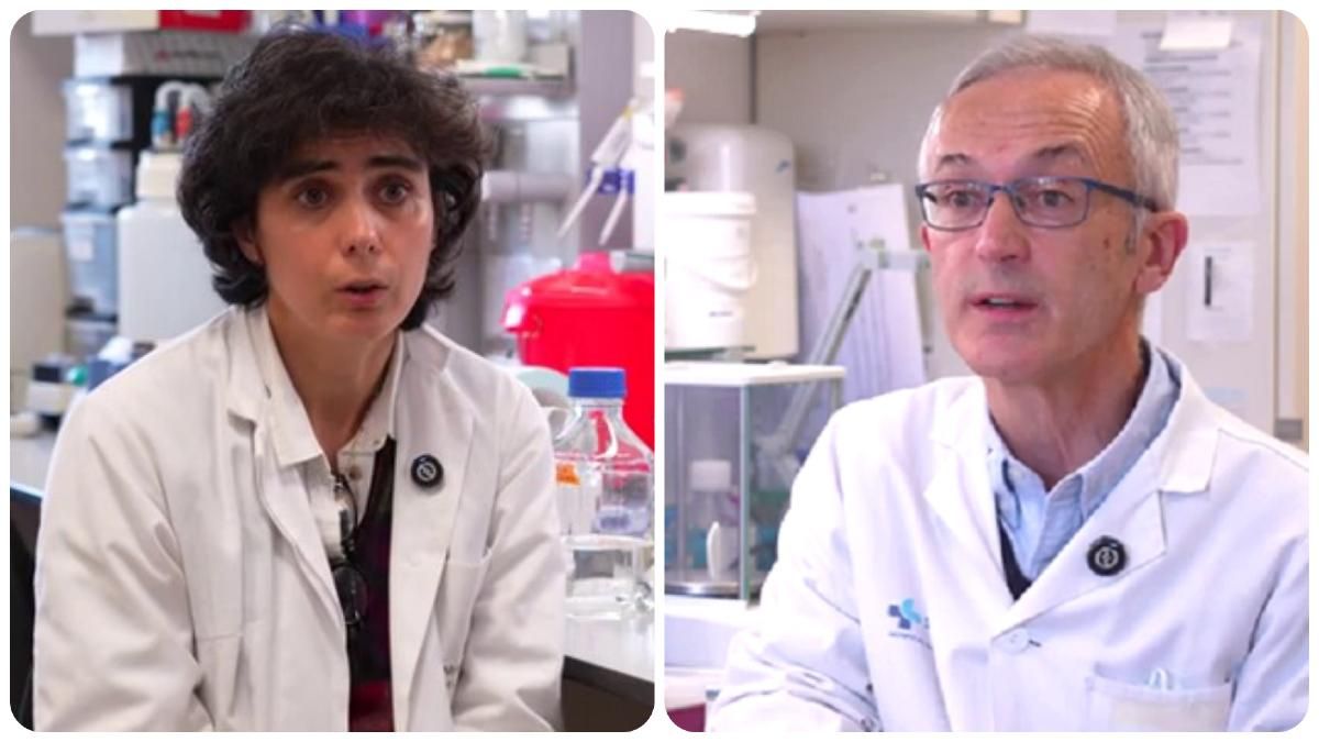 Investigadores de la ULE desarrollan una innovadora estrategia de inmunoterapia contra el melanoma cancerígeno