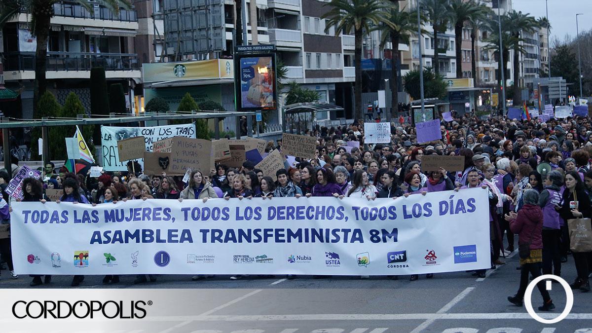 CRÓNICA: 8M en Córdoba: una manifestación con todas las voces contra el ...