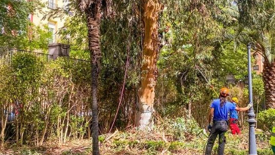 La Seguridad Social pierde 7.930 afiliados en enero en Extremadura