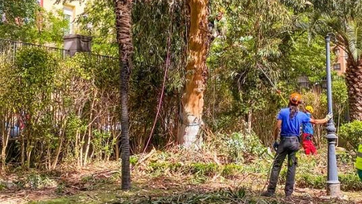 Con el final de la euforia económica de Navidades, el comienzo del año siempre empieza mal, con reducción de empleados cotizantes