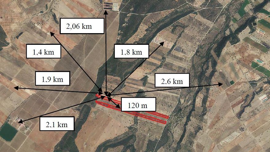 Advierten de que se tramita un proyecto de macrogranja en Toledo en un entorno donde viven linces