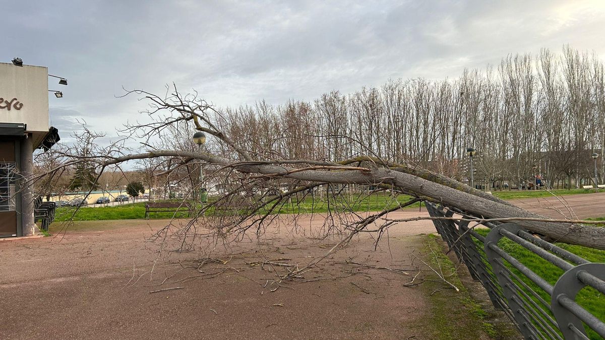 El aviso por viento concluye en La Rioja con 23 incidencias y rachas de más de 120 kilómetros por hora